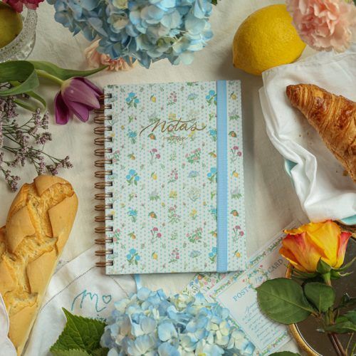 Cuaderno de notas mujercitas